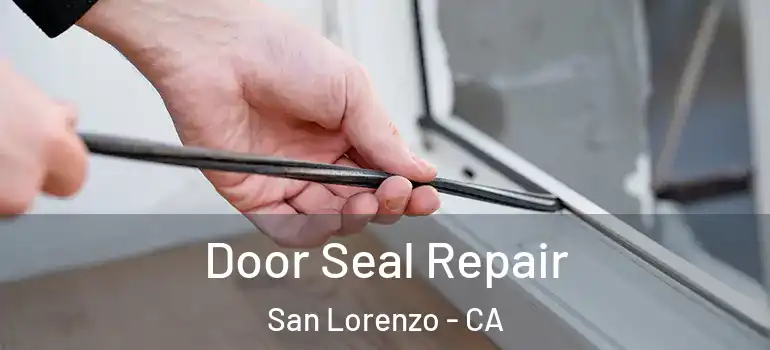  Door Seal Repair San Lorenzo - CA