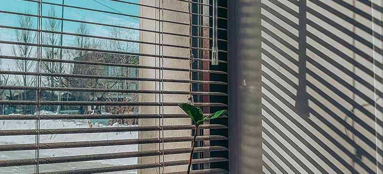 Commercial Window Blinds in San Lorenzo, CA