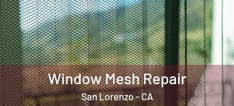  Window Mesh Repair San Lorenzo - CA