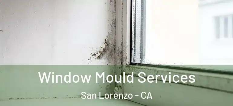  Window Mould Services San Lorenzo - CA